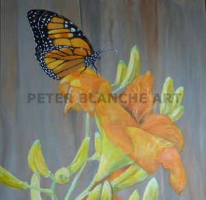 Monarch butterfly and day lily